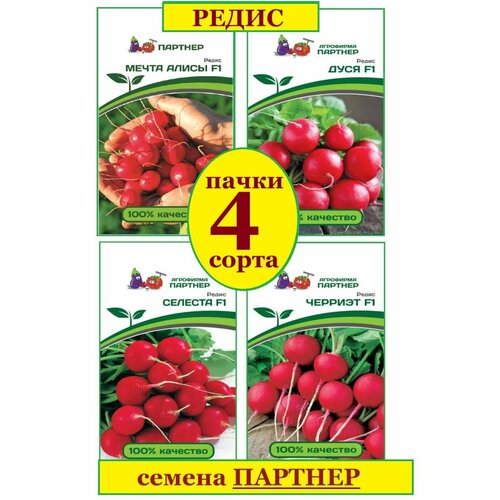 ������ ������ ����� ������ �������, ����� �����, ����, ������� ������ ������� (4 ��������* 1 � �����) ����