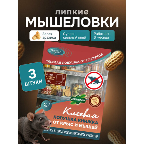 ������ ������ ������� ��� ����� � ���� Maguse, ������� ������� ������ �� ���� � ����� BASE, 3 �� ����