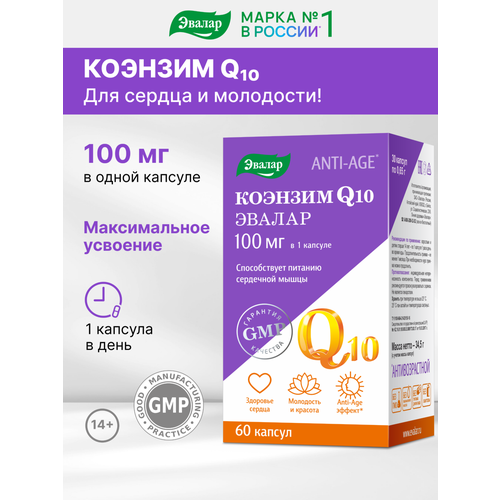 ������ ������ ������� Q10 ����., 100 ��, 0.1 �, 60 ��., 1 ��. ����