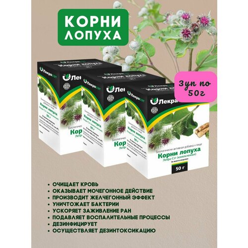 ������ ������ �����-��� ����� ������ ������������ 3�� �� 50� ����