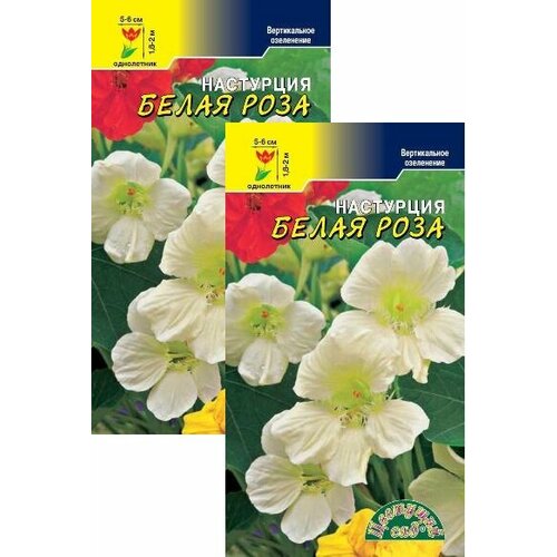 ������ ������ ��������� �������� ����� ���� (1,5 �), 2 ������ ����