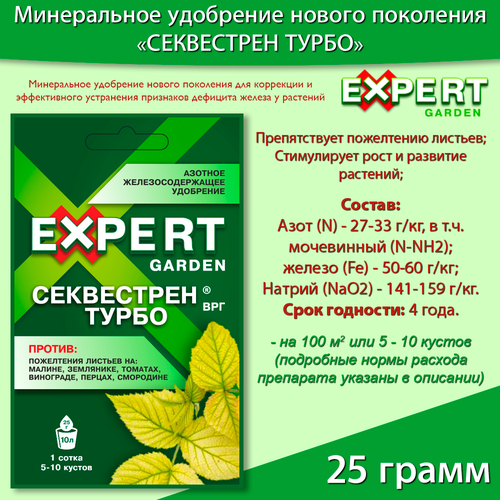 ������ ������ ����������� ��������� ����������, 25 ����� ����