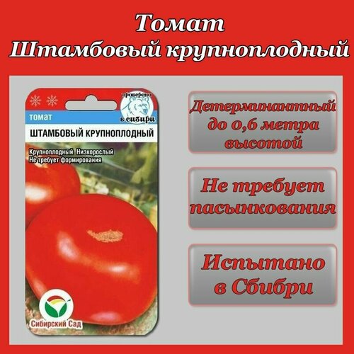 ������ ������ ����� ��������� ������������� (1 ��������- 20 ���� �����) ����