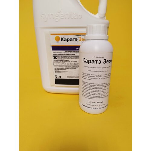 ������ ������ ���������� ������ ���� �� ���������-���������� 500 �� ����