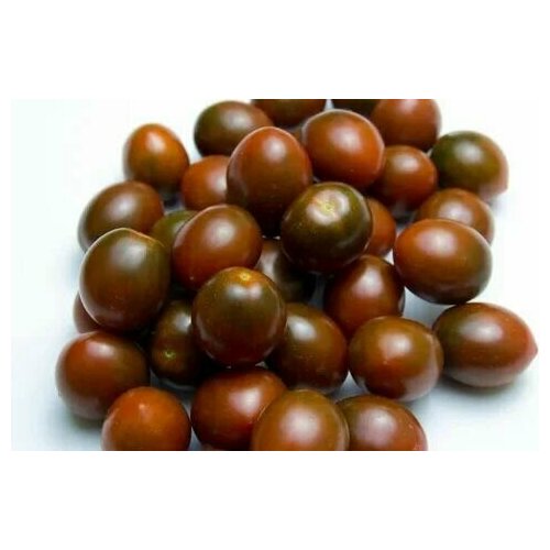 ������ ������ ������������� ������ ������ ���������� ����� ����