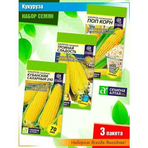 ������ ������ ����� ����� �������� �� ������ ����� (3 �����) ����