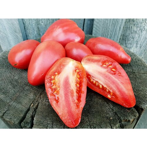 ������ ������ ������������� ������ ������ ���� ��������� ����