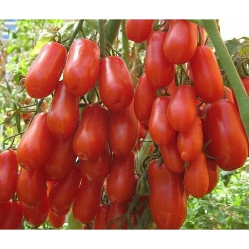 ������ ������ ������������� ������ ������ ���������� ���� ����