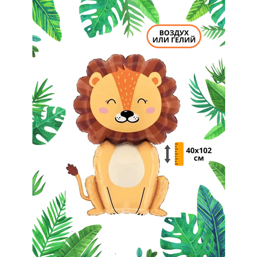 ������ ������ ��������� ��� �������������� ������ ��� ����