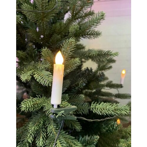 ������ ������ �������� ����� �� ���� 20 ���� ����