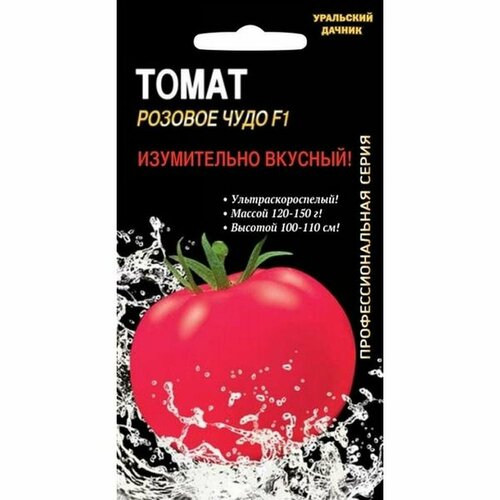 ������ ������ ������ ����� ������� ���� F1 (�����������), �����������, ���� 12�� ����