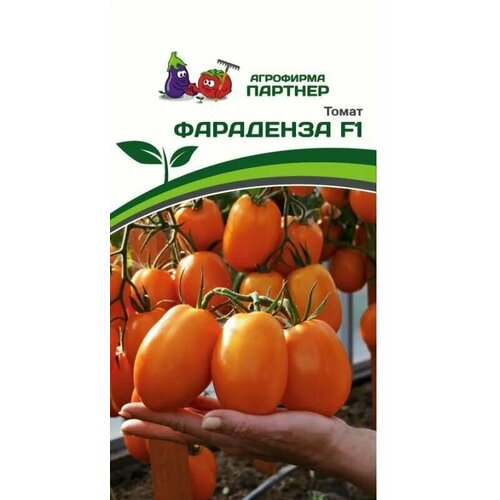 ������ ������ ����� ��������� F1 ������ ������� (1 ��������-10 �� �����) ����