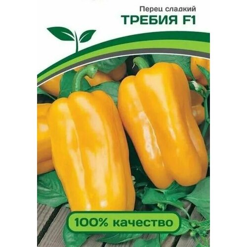 ������ ������ ������������� ������ ����� �������� ������ F1 ����