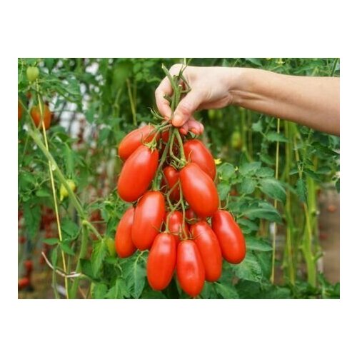 ������ ������ ������������� ������ ������ ��������� �������� ����