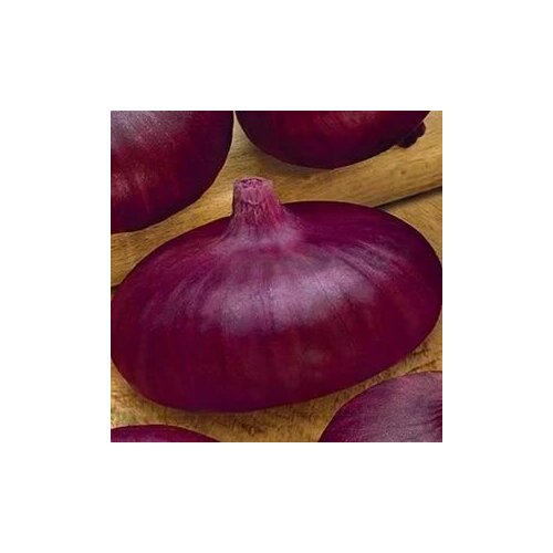 ������ ������ ������������� ������ ���� �������� ��������� ������� ����