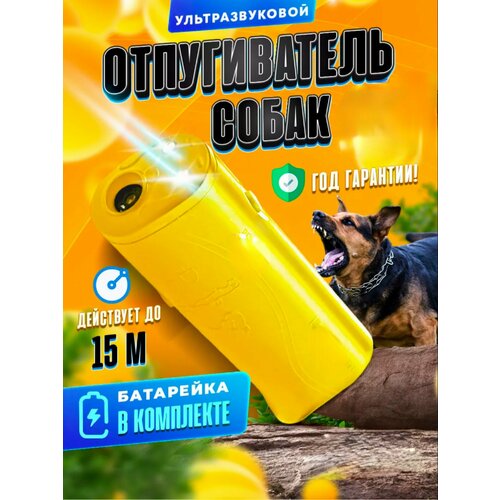 ������ ������ ������������ ����� � ������� �������� �������������� � ��������� ����