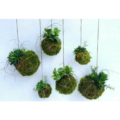 ������ ������ ��� ����������� ������. ���� �����. ����