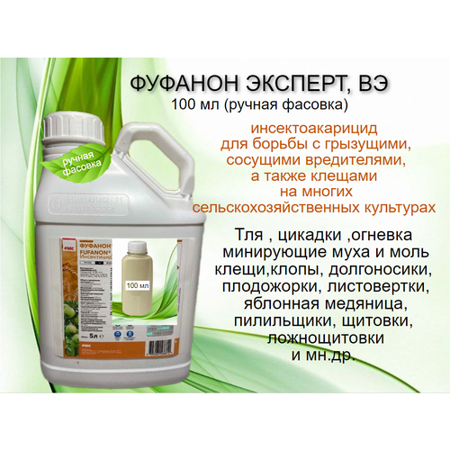 ������ ������ ������� ������� 100 �� (�������) ����