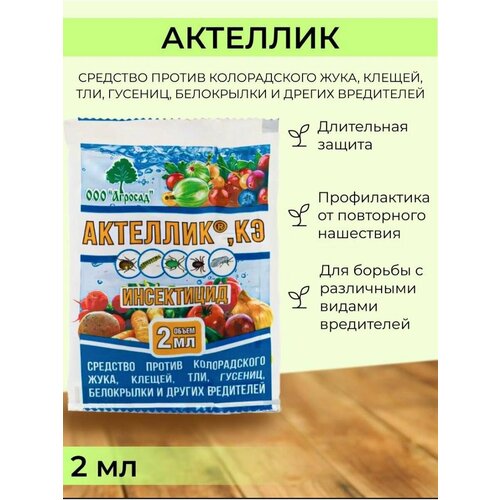 ������ ������ ��������� ������ �������� �������� 1 �� ����