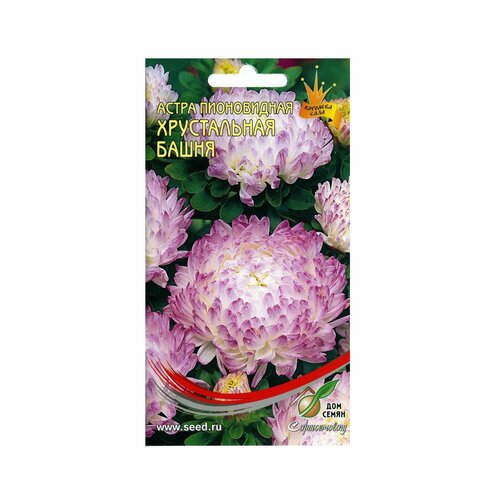 ������ ������ ������ ����� ����������� ����������� ����� ����