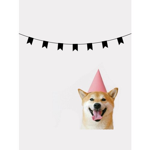 ������ ������ �������� �������� �������� �� ���� ������ - ������ ����