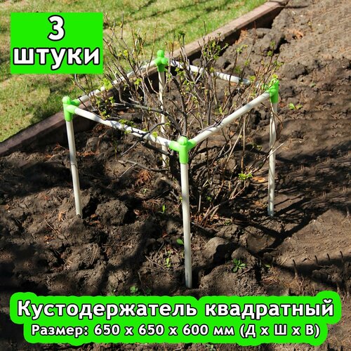 ������ ������ �������������� 