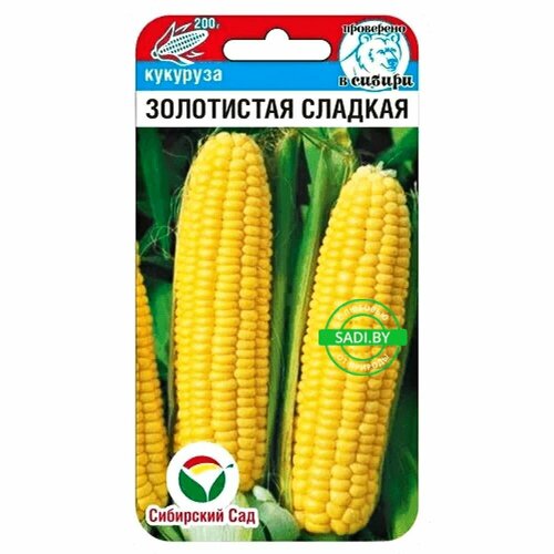 ������ ������ �������� ���������� ������� 10 ����� , ��������� ��� ����