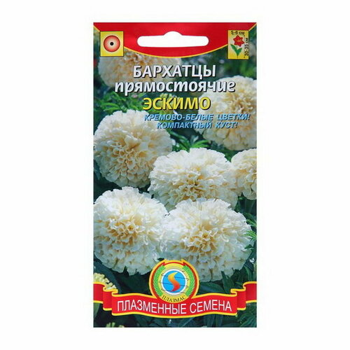 ������ ������ ������ �������� ����������� 