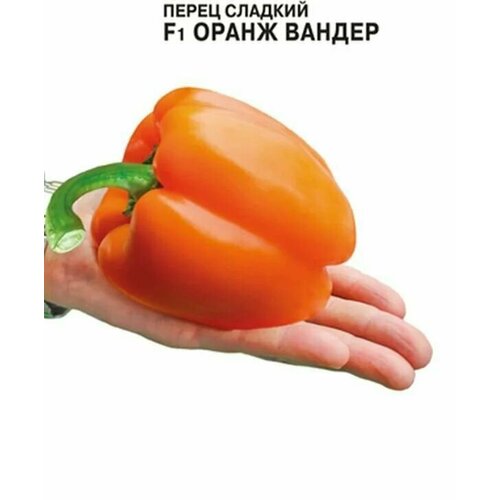 ������ ������ ������������� ������ ����� �������� ����� ������ F1 ����