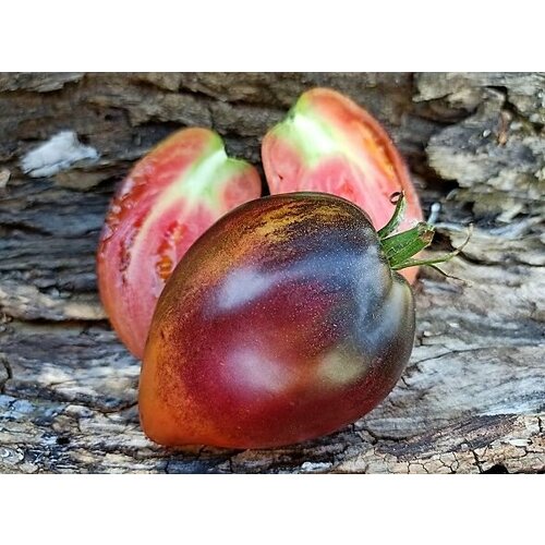 ������ ������ ������������� ������ ������ ������� ������ ��������� ����