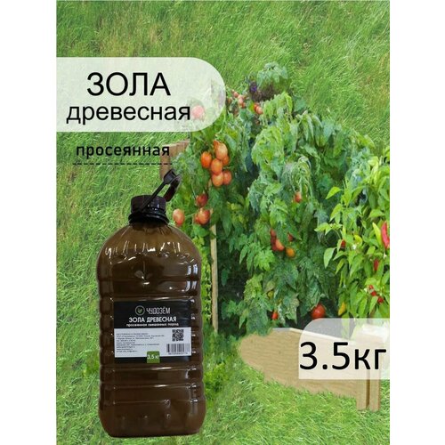 ������ ������ ���� ���������-����������, 3.5�� ����