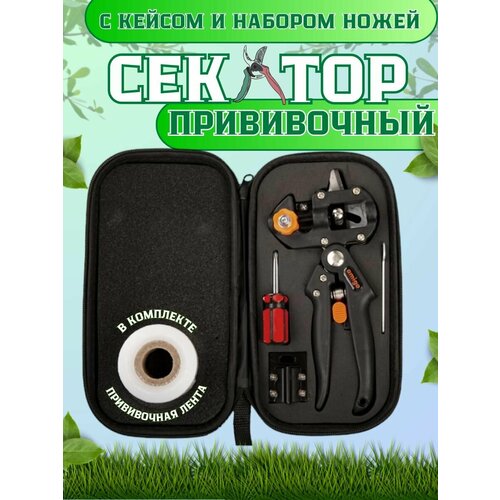 ������ ������ ������� ������� ����������� ����