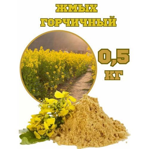 ������ ������ ���� ��������� 0,5 �� ����