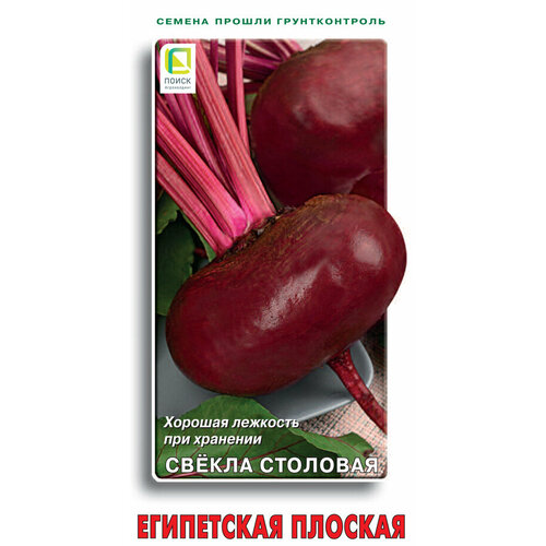 ������ ������ ������ ������ ���������� ������� 1�� (�����) ����