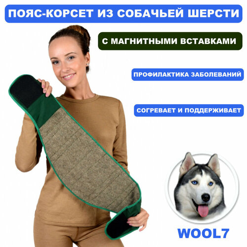 ������ ������ ����-������ Doctor ������ �� �������� ������ � ���������� ��������� ����