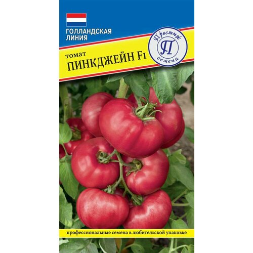 ������ ������ ������ ����� ��������� F1 5�� ��� (�������) ����