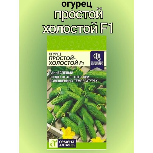 ������ ������ ������ ������ ������� �������� F1 ����