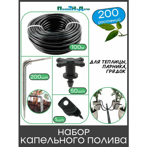 ������ ������ ����� ���������� ������ �� 200 �������� ��� �������, �������, ������ ����