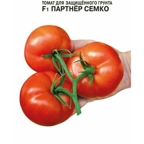 ������ ������ ������ ����� ������� ����� F1 5 ��. ����