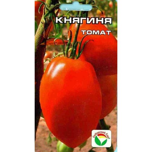 ������ ������ ������ ����� ������� 20 ��. ����