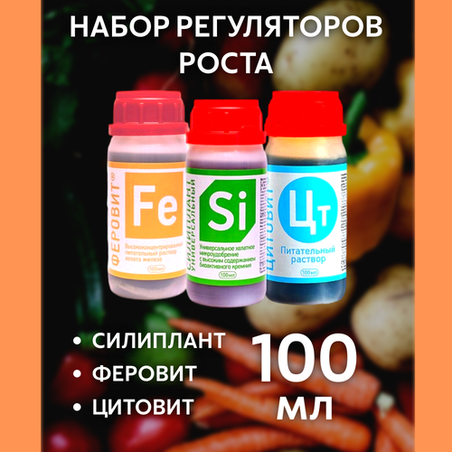 ������ ������ ����� �� 100 �� ��������� + ������� + ������� ����