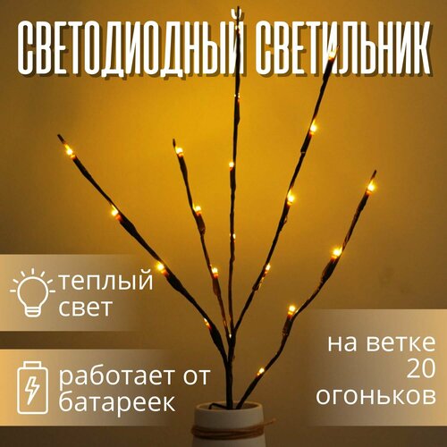 ������ ������ ����������� ������������ ������� 20 �������� ����