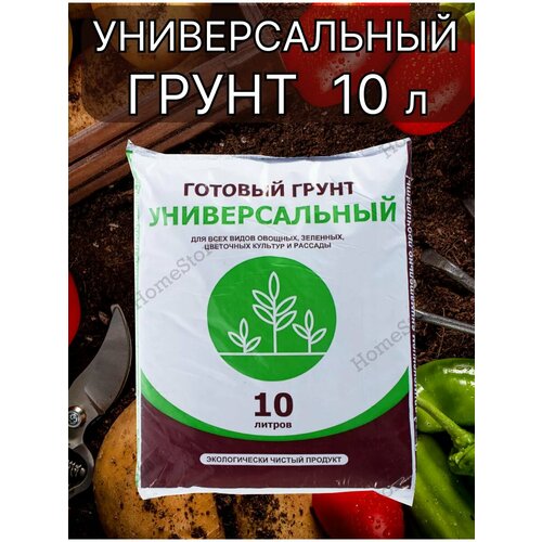 ������ ������ ����� ������������� ��� ������ � �������� 10 ������ ����