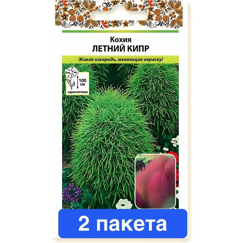 ������ ������ ����� ����� ������ ���� 2 ������ ����