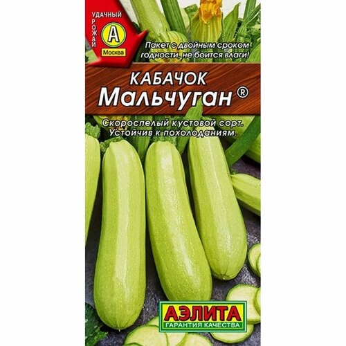 ������ ������ ������ ������� ��������� 1� ����� ������ (������) ����