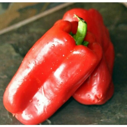 ������ ������ ������������� ������ ����� �������� ��������� ����� ����