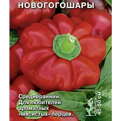 ������ ������ ������������� ������ ����� �������� ������������ ����