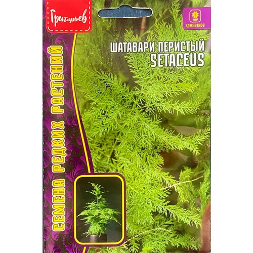 ������ ������ ������ �������� ��������� (���������) Setaceus (3 ��. �����) ����