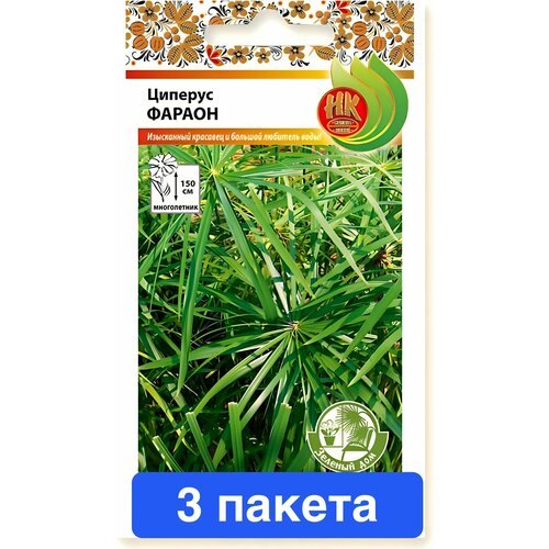 ������ ������ ����� ������� ������ 3 ������ ����