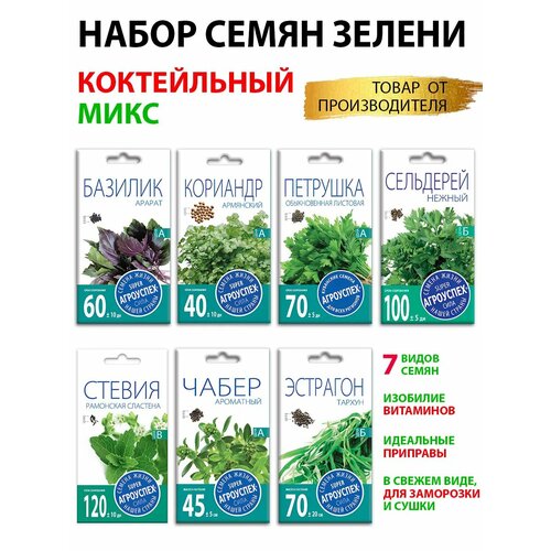 ������ ������ ����� ����� ������ 7 ������ ����